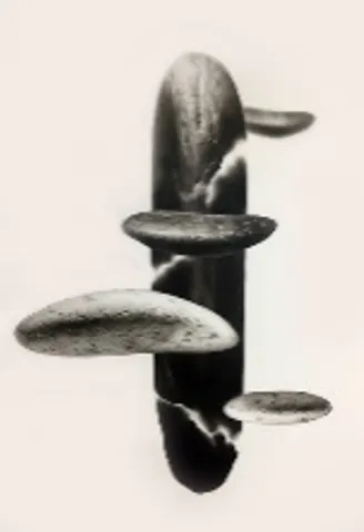 Being_200902