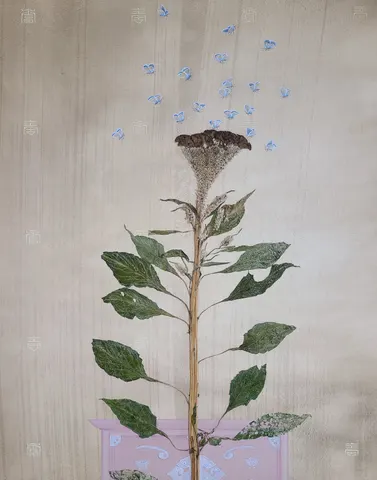 행복